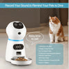 Smart Automatic Pet Feeder With Voice Record Stainless Steel Lcd